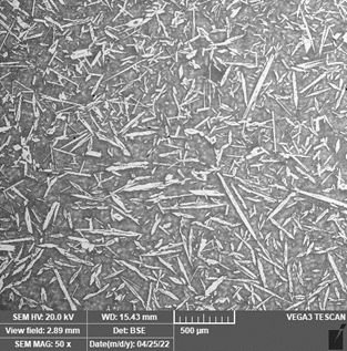 Microstructure of Al-Fe-X coating