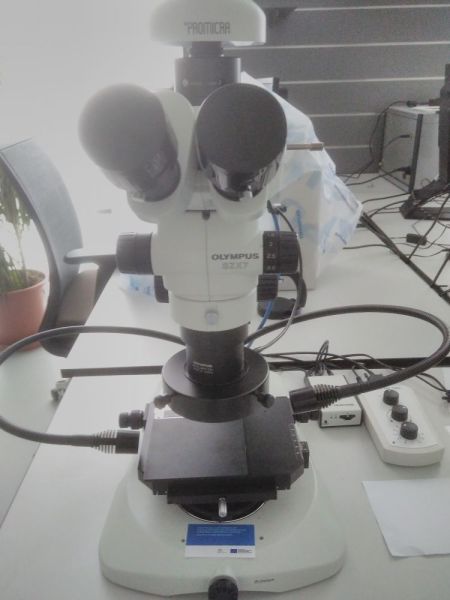  ◳ Laboratorní technika: stereomikroskop