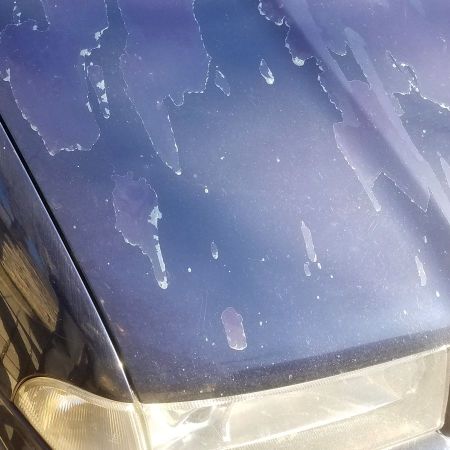  ◳ Degradace vrchní vrstvy organického povlaku (clearcoat) na karosérii automobilu (jpg) → (šířka 450px)